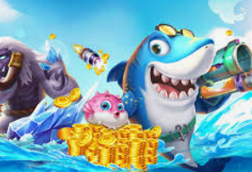 333体育官网下载2024最新版